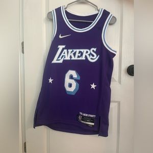 Lakers Dynasty Lebron Purple Jersey